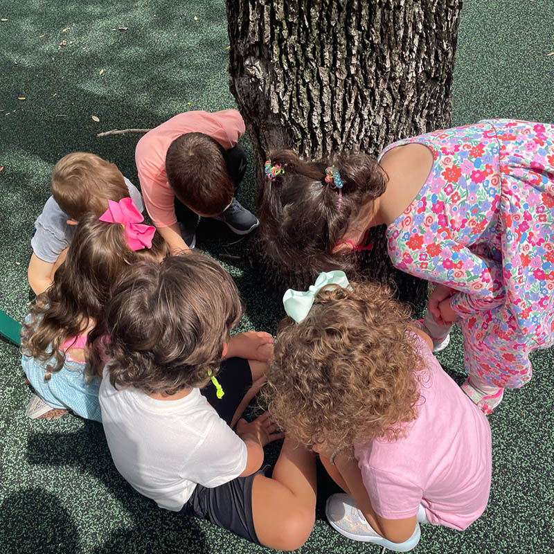 children playing-spanish immersion