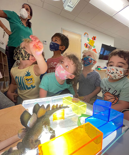 teacher and students learning